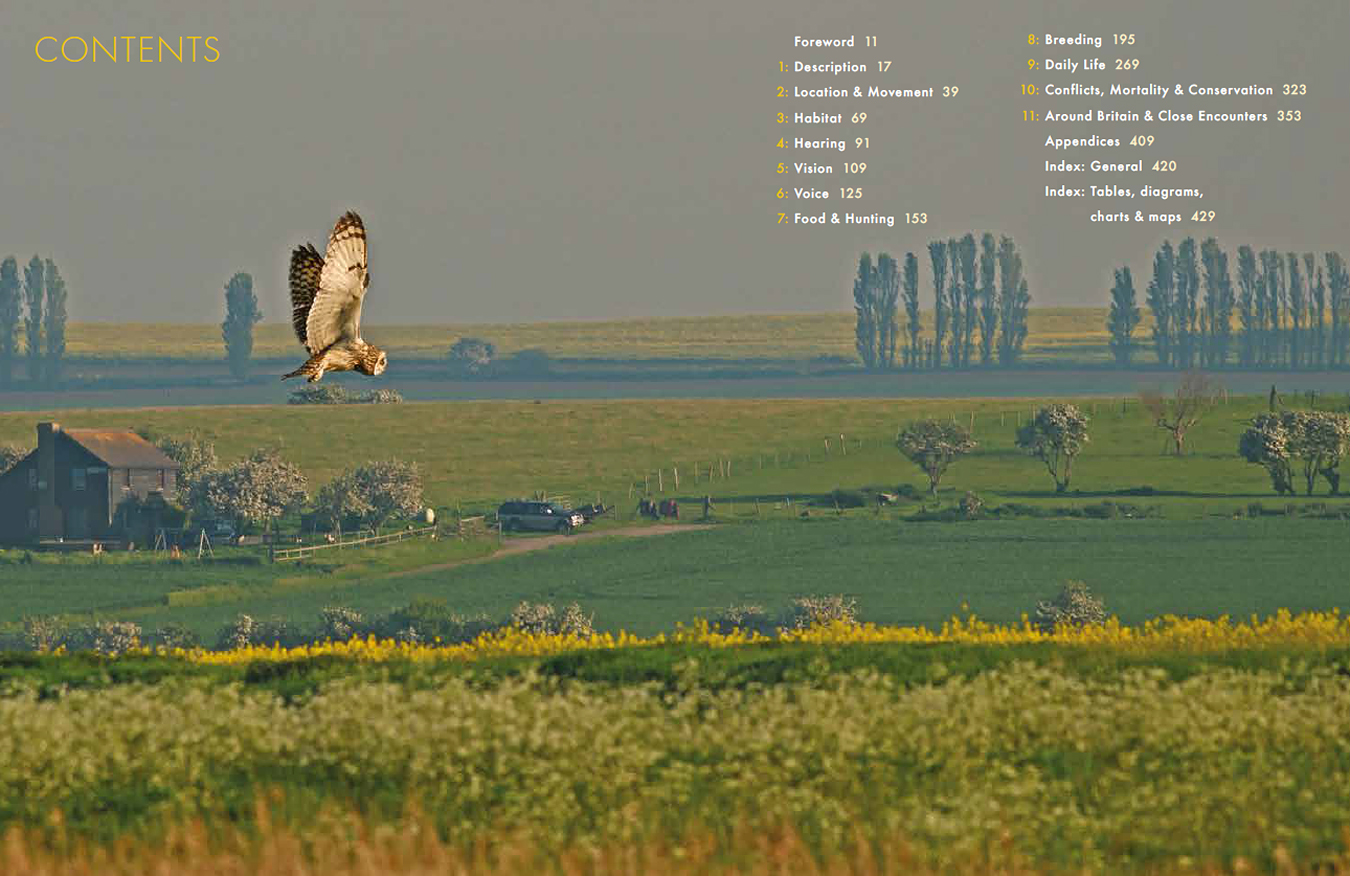 Short-eared Owl book contents photo